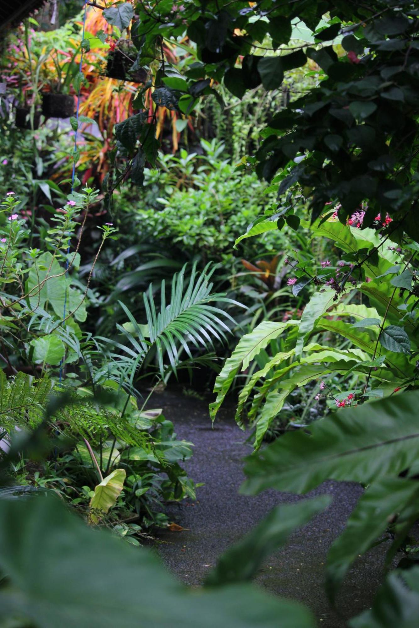 Sari Gong Guest House, A Trishula Collection Ubud Esterno foto