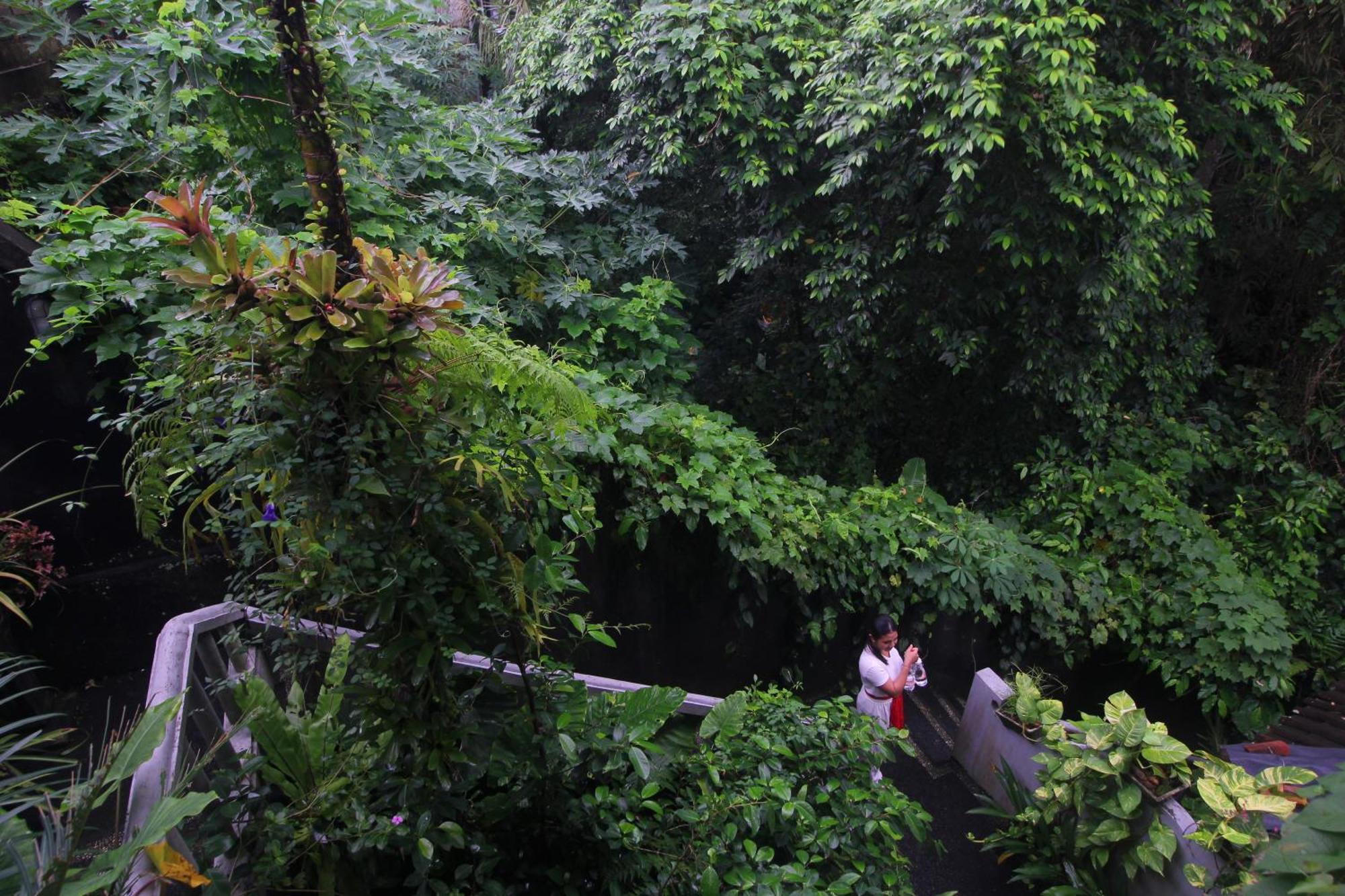Sari Gong Guest House, A Trishula Collection Ubud Esterno foto