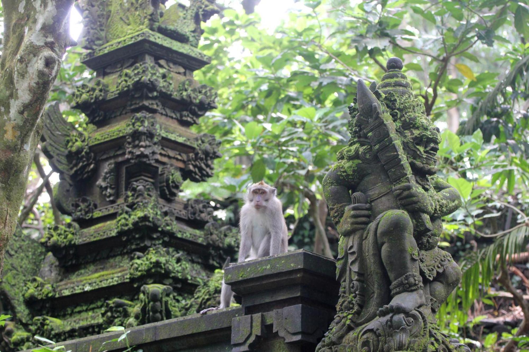 Sari Gong Guest House, A Trishula Collection Ubud Esterno foto